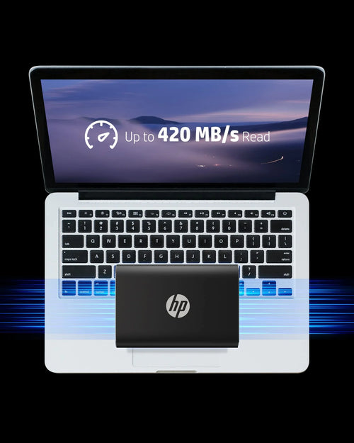 1TB Portable SSD B216993