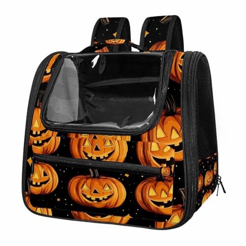 Pumpkin Cat Dog Pet Carrier with Locking Safety Zippers W10997
