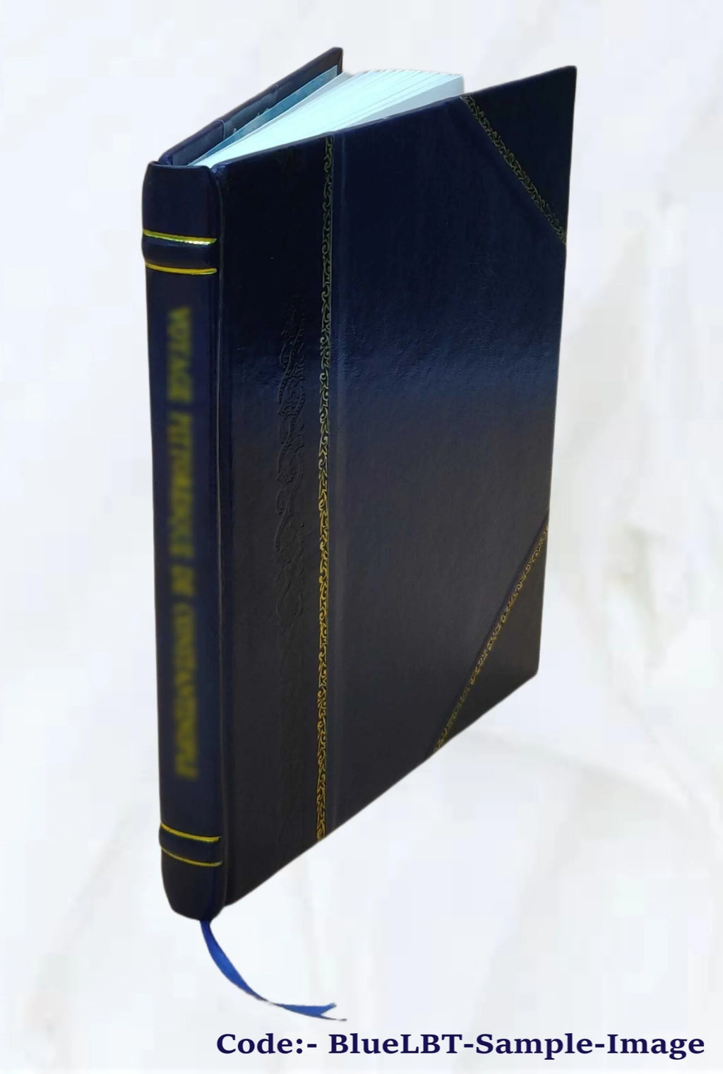 Leather Bound Book F9665