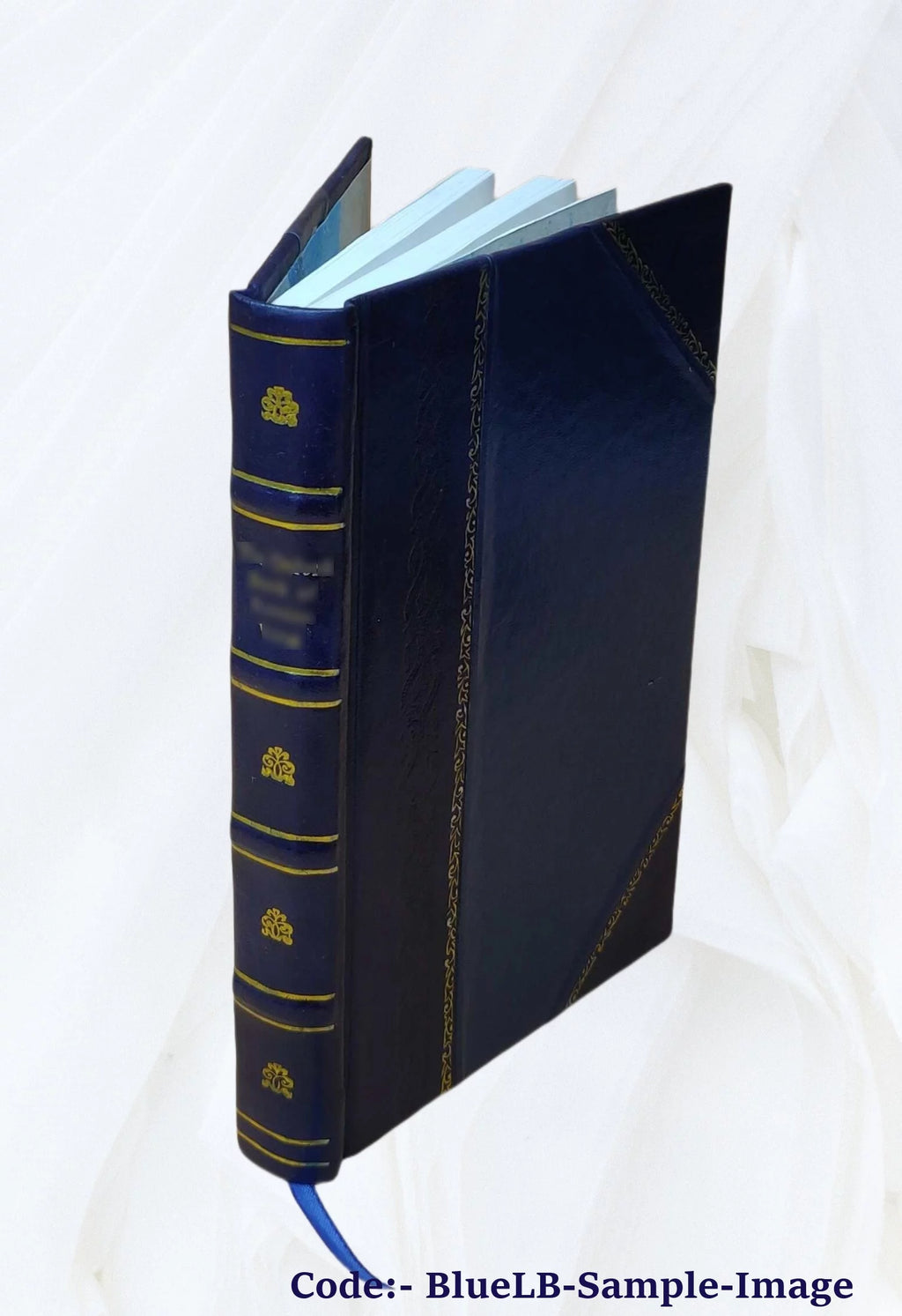 Memoirs of Duke de Richelieu Volume 3 Leather Bound M936