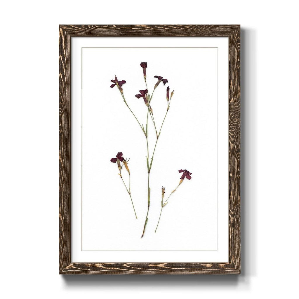 Framed Print - 27.5X37.5 - Walnut L286
