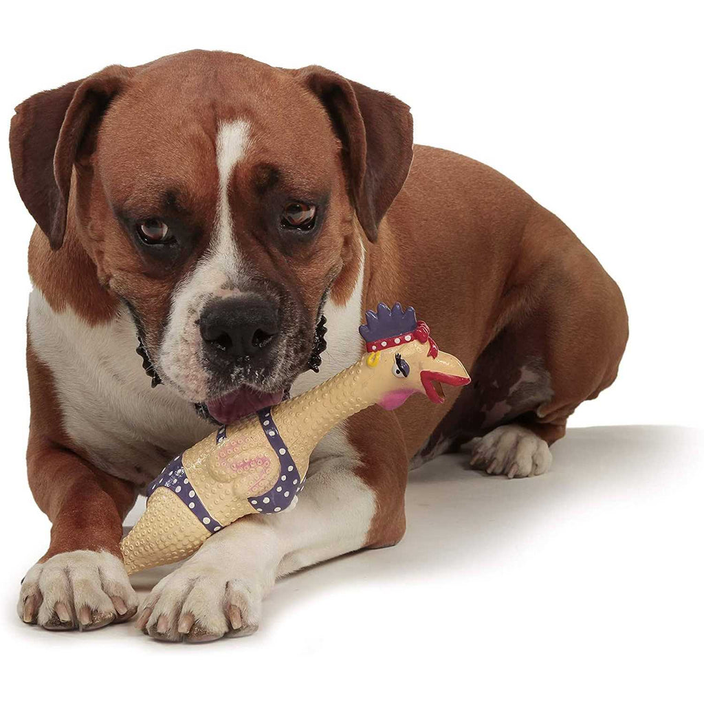 Dog Toy B832