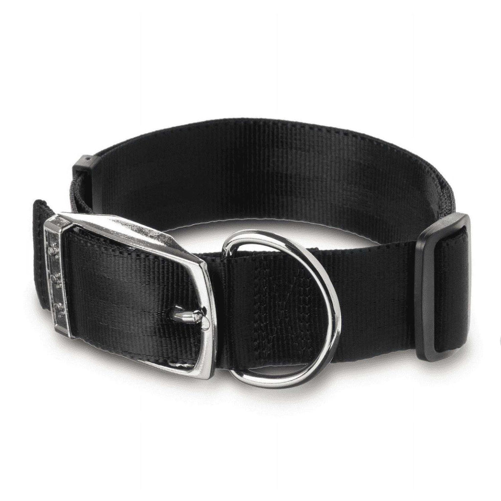 Solid Dog Collar with Metal Buckle C958663