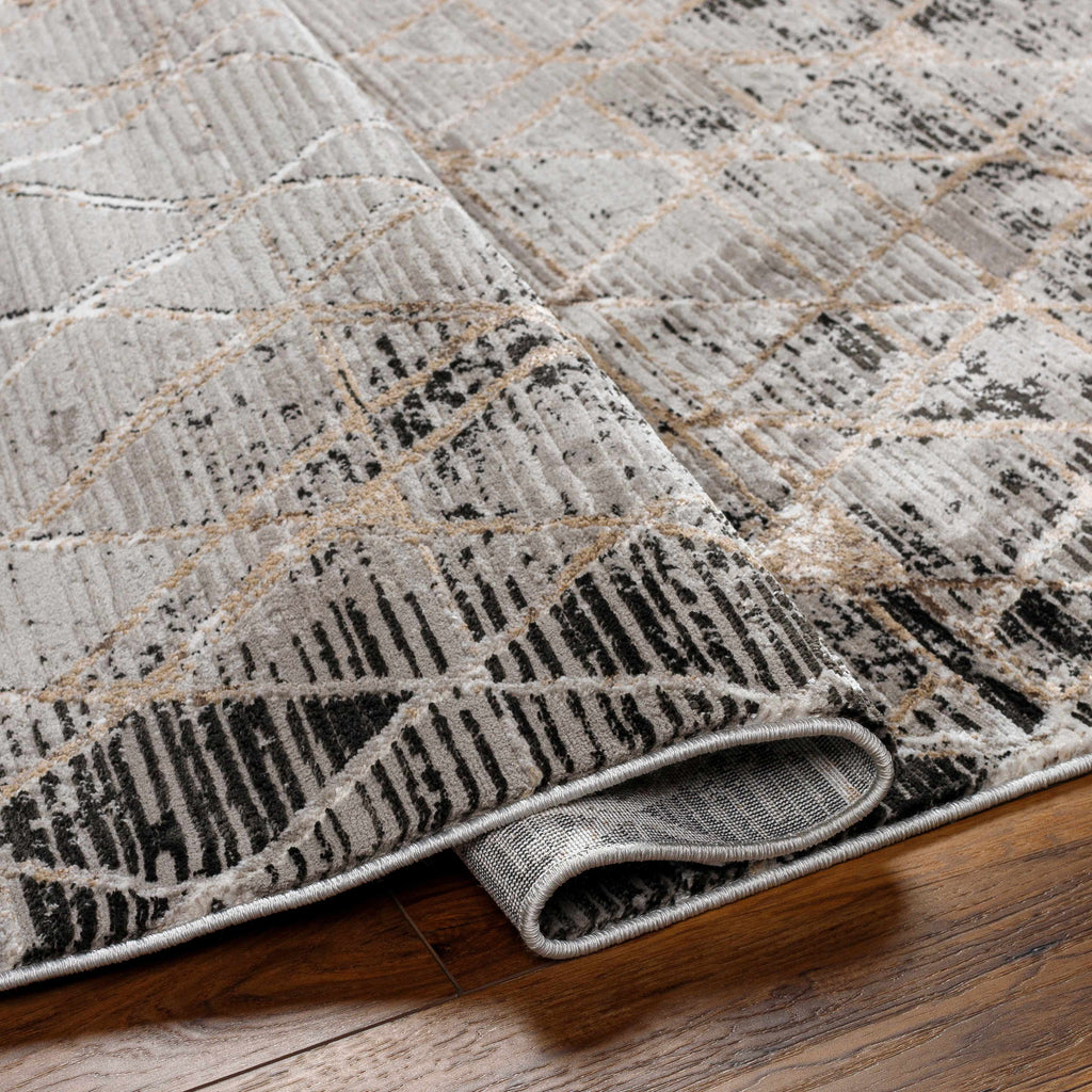 Gray Black 2' x 3' Area Rug S3210