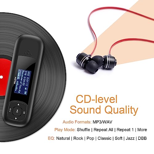 40GB MP3 Player with FM Radio and Recording A551