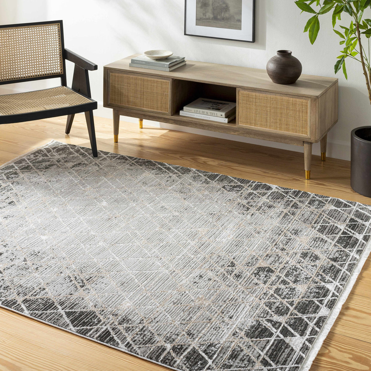 Gray Black 2' x 3' Area Rug S3210