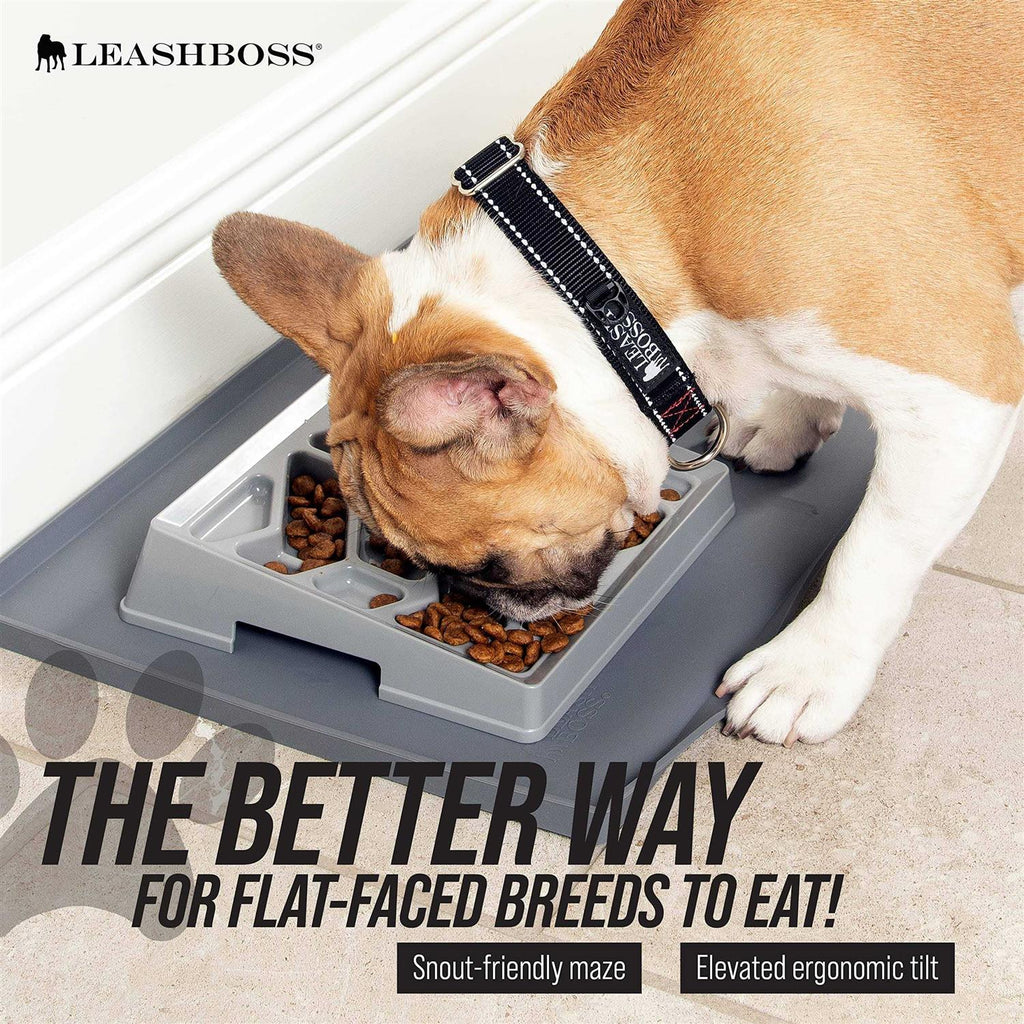 Flat Face Feeder Tilted Slow Feed Bowl G119