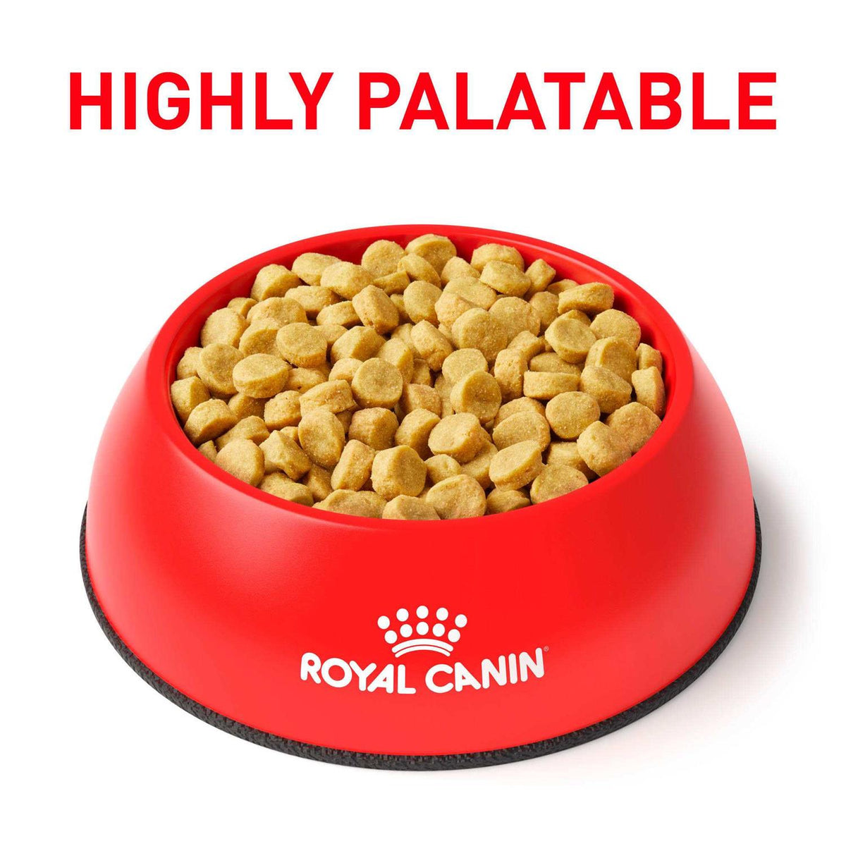 Hydrolyzed Protein Dry Dog Food P9461