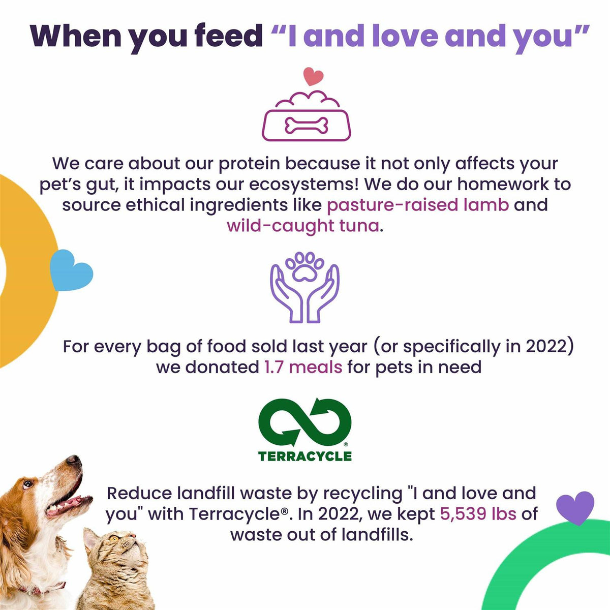 Dry Dog Food Lamb Bison P3759