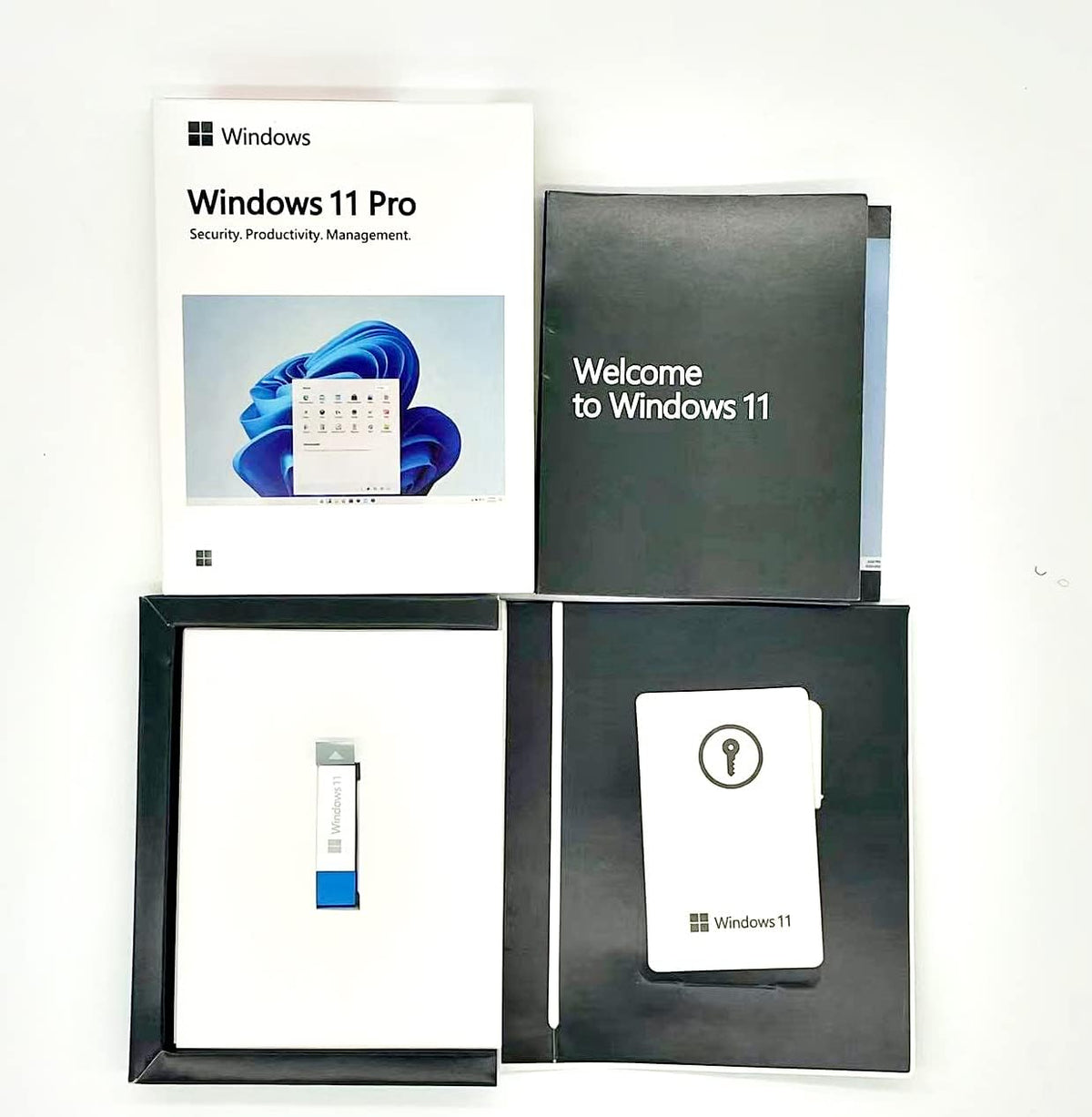 Windows 11 Pro USB Software Y660