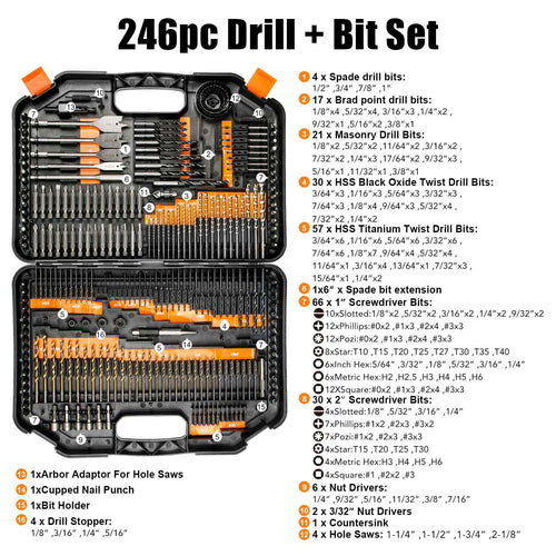 246-Piece Drill Bit and Driver Set with Plastic Carrying Case H155