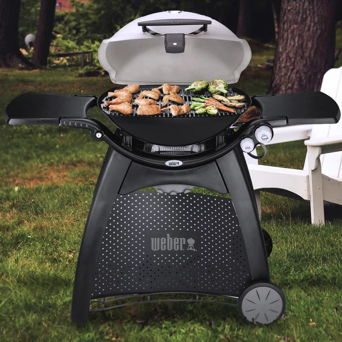 Liquid Propane Gas Grill Q5767