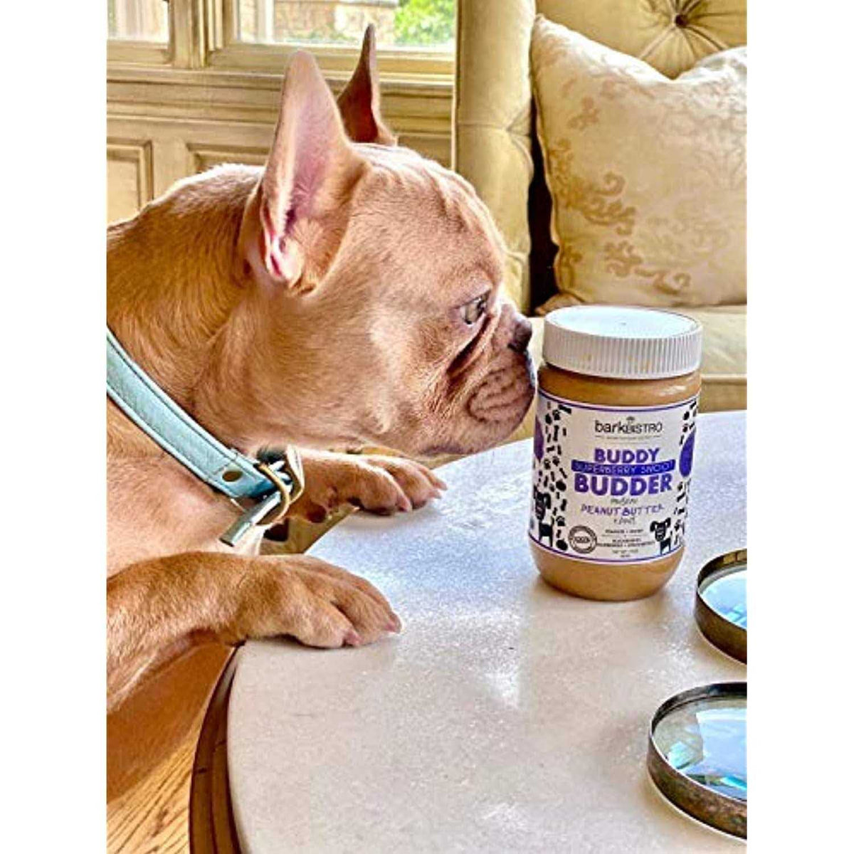 Superberry Snoot Buddy Budder Pet Supplies Y3078