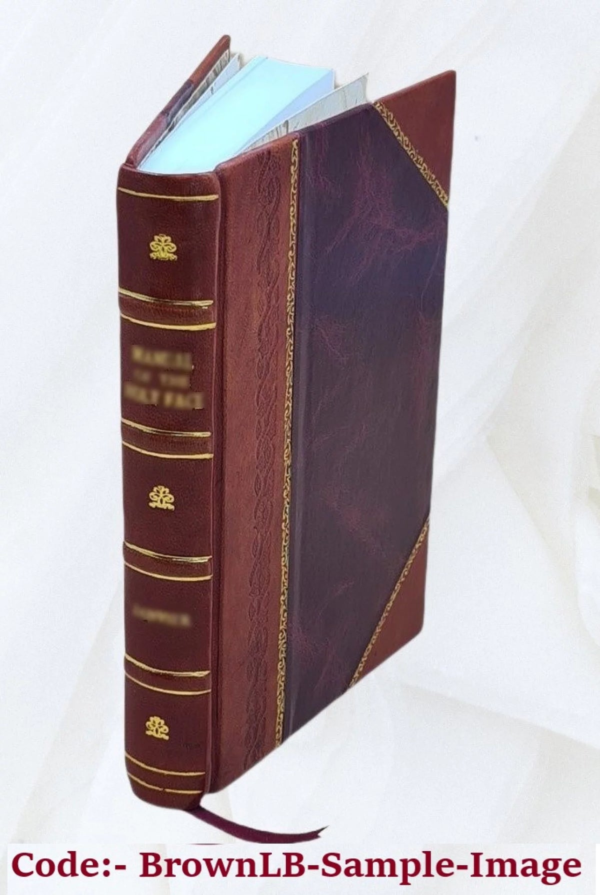Memoirs of Duke de Richelieu Volume 3 Leather Bound M936