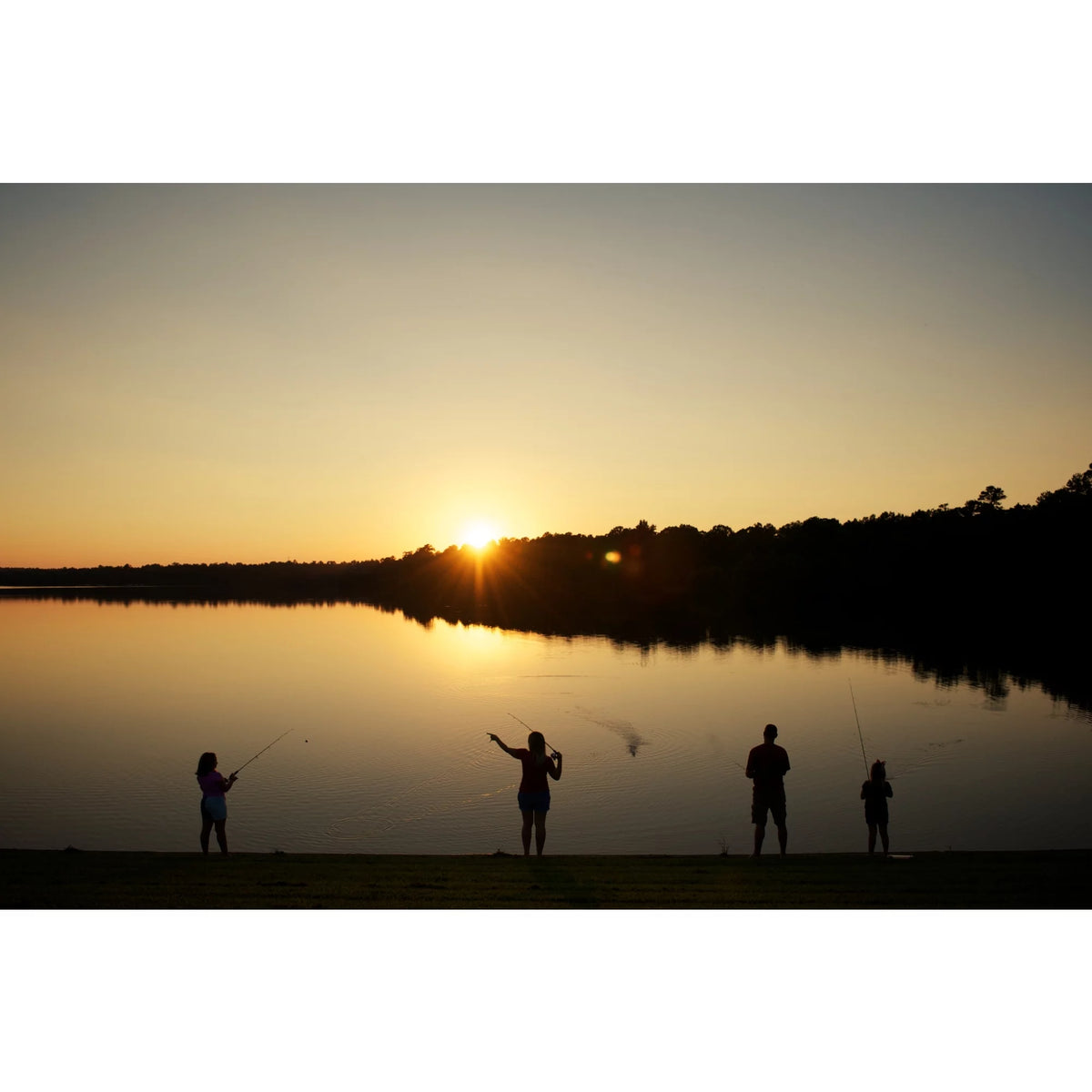 Boat Fishing Rod F493527