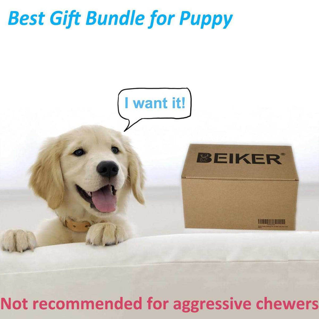 15 Pack Durable Puppy Chew Toys M920700