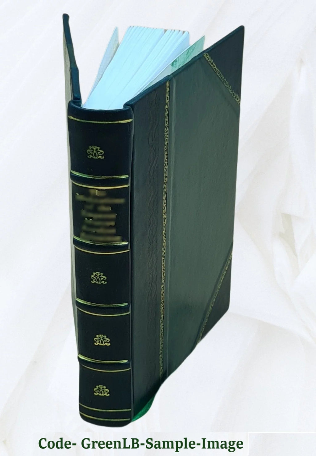 Memoirs of Duke de Richelieu Volume 3 Leather Bound M936