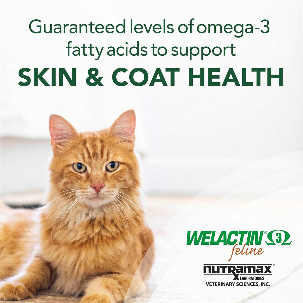Omega-3 Fish Oil Liquid Skin Coat Supplement for Cats A758263