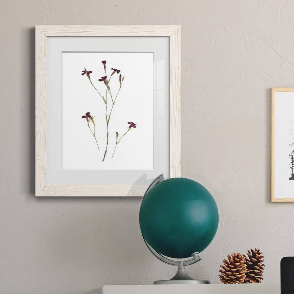 Framed Print - 27.5X37.5 - Walnut L286