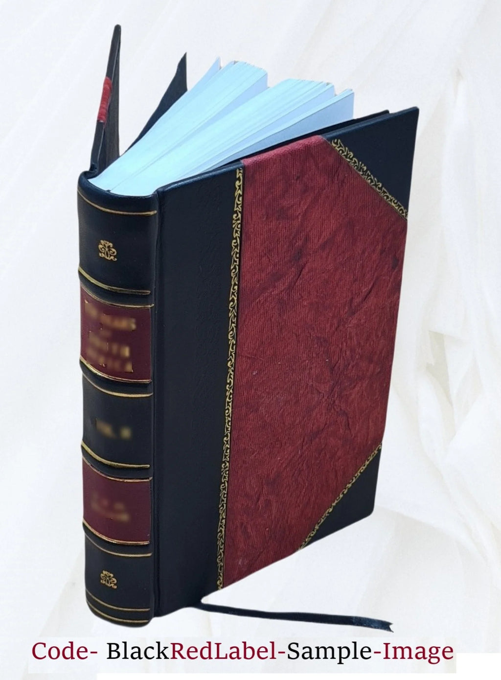 Memoirs of Duke de Richelieu Volume 3 Leather Bound M936